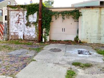 Philadelphia Street Alley, Mainstrasse Village, Covington,… 