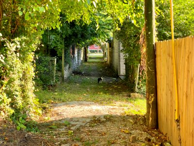 Bakewell Street Alley, Mainstrasse Village, Covington, KY 