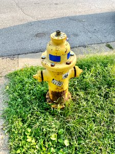 Fire Hydrant, 9th Street, Mainstrasse Village, Covington, … 