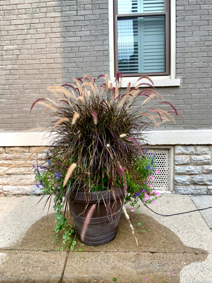 Perry Street, Mainstrasse Village, Covington, KY 