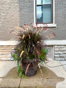 Perry Street, Mainstrasse Village, Covington, KY 
