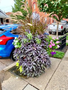 8th Street, Mainstrasse Village, Covington, KY 