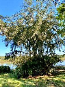 Ashley River, Drayton Hall, West Ashley, Charleston, SC 