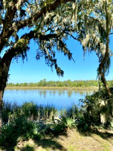 Ashley River, Drayton Hall, West Ashley, Charleston, SC 