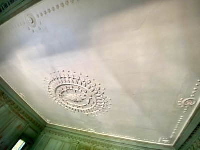 Ceiling, Great Hall, Drayton Hall, West Ashley, Charleston… 