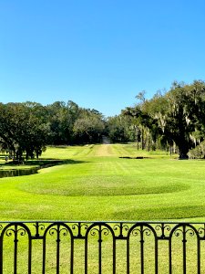 Entrance Drive, Drayton Hall, West Ashley, Charleston, SC 