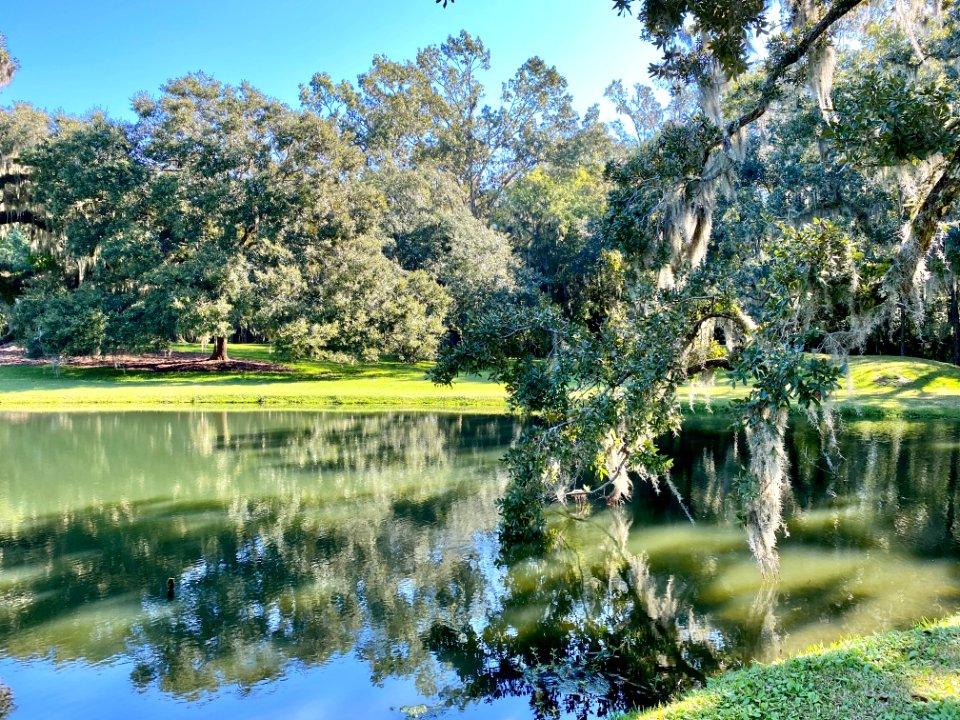 Reflecting Pond, Drayton Hall, West Ashley, Charleston, SC… 