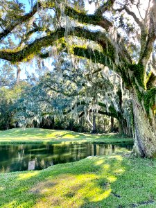 Reflecting Pond, Drayton Hall, West Ashley, Charleston, SC… 