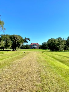 Entrance Drive, Drayton Hall, West Ashley, Charleston, SC 