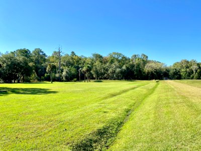 Entrance Drive, Drayton Hall, West Ashley, Charleston, SC 