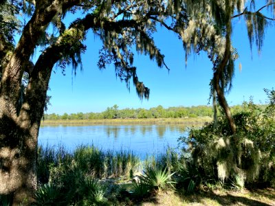 Ashley River, Drayton Hall, West Ashley, Charleston, SC 