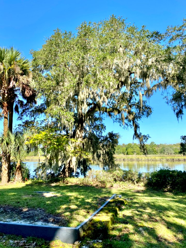 Ashley River, Drayton Hall, West Ashley, Charleston, SC 