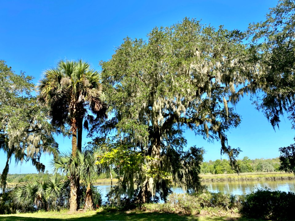 Ashley River, Drayton Hall, West Ashley, Charleston, SC 