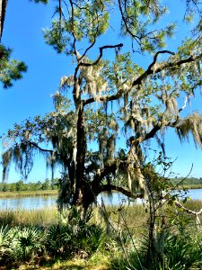Ashley River, Drayton Hall, West Ashley, Charleston, SC 