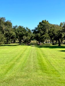 Ashley River Path, Drayton Hall, West Ashley, Charleston, … 