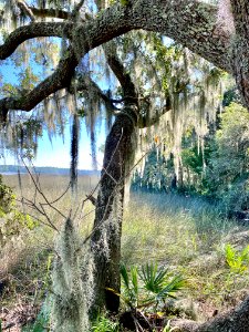 Ashley River, Drayton Hall, West Ashley, Charleston, SC 
