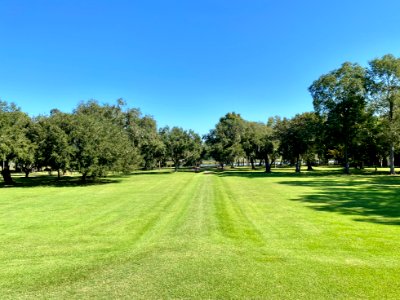 Ashley River Path, Drayton Hall, West Ashley, Charleston, … 