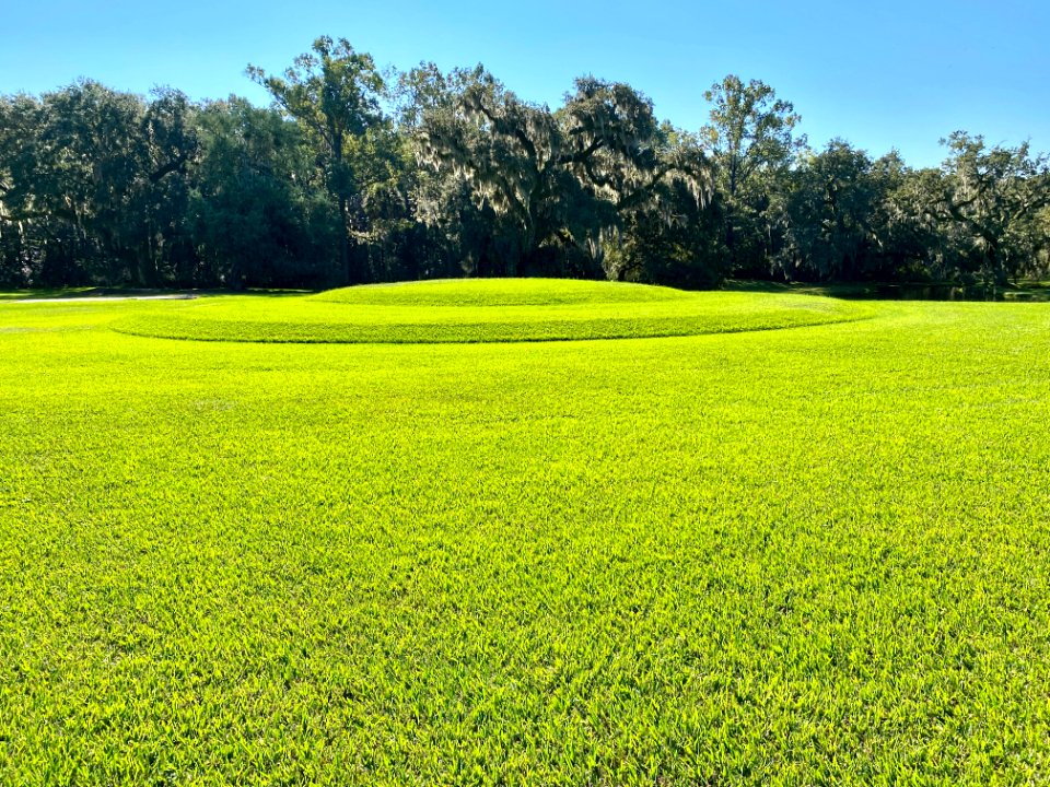 Mound, Drayton Hall, West Ashley, Charleston, SC 