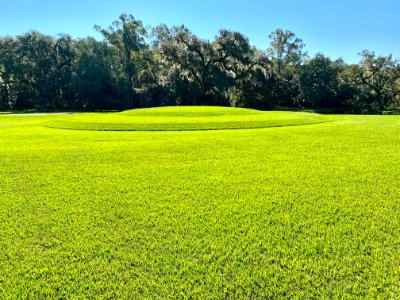Mound, Drayton Hall, West Ashley, Charleston, SC 