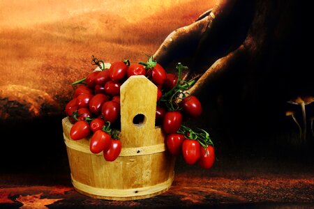 Harvest tomatoes wooden bucket vegetables photo