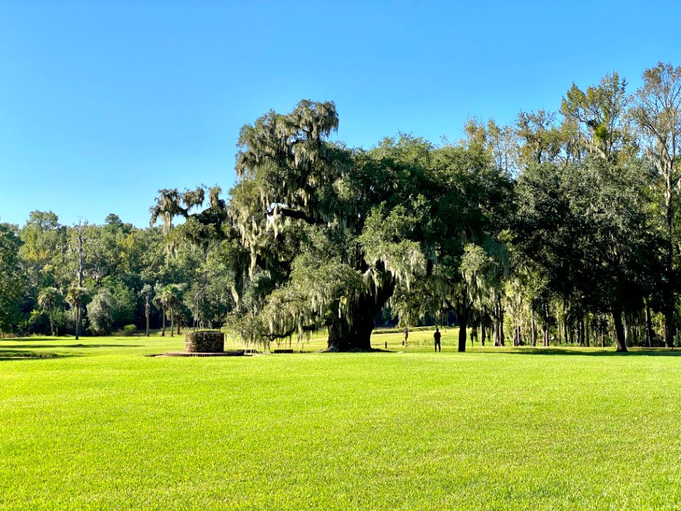 Well, Drayton Hall, West Ashley, Charleston, SC 