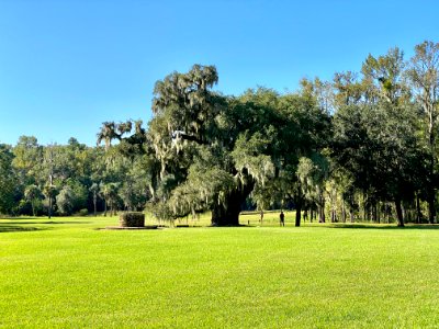 Well, Drayton Hall, West Ashley, Charleston, SC 