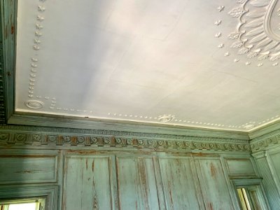 Ceiling, Great Hall, Drayton Hall, West Ashley, Charleston… 