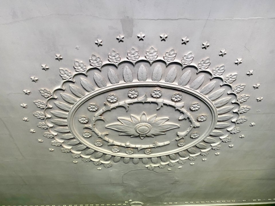 Ceiling, Great Hall, Drayton Hall, West Ashley, Charleston… 