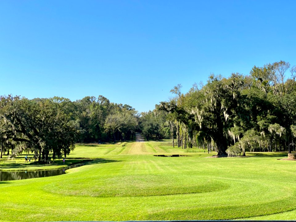 Entrance Drive, Drayton Hall, West Ashley, Charleston, SC 