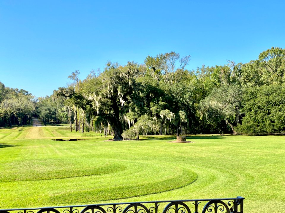 Entrance Drive, Drayton Hall, West Ashley, Charleston, SC 