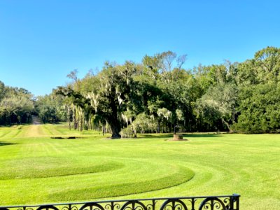 Entrance Drive, Drayton Hall, West Ashley, Charleston, SC 