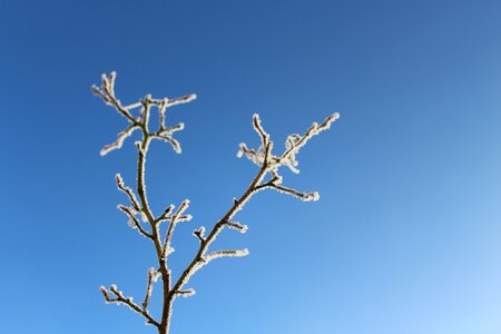 Sky blue sky cold