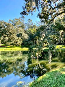 Reflecting Pond, Drayton Hall, West Ashley, Charleston, SC… 