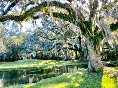 Reflecting Pond, Drayton Hall, West Ashley, Charleston, SC… photo
