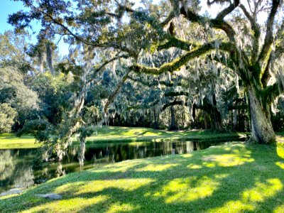 Reflecting Pond, Drayton Hall, West Ashley, Charleston, SC… photo