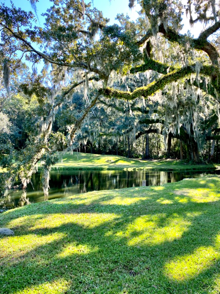 Reflecting Pond, Drayton Hall, West Ashley, Charleston, SC… 