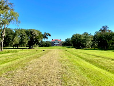 Entrance Drive, Drayton Hall, West Ashley, Charleston, SC 