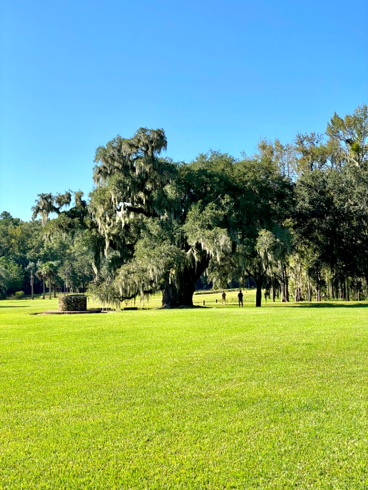 Well, Drayton Hall, West Ashley, Charleston, SC 
