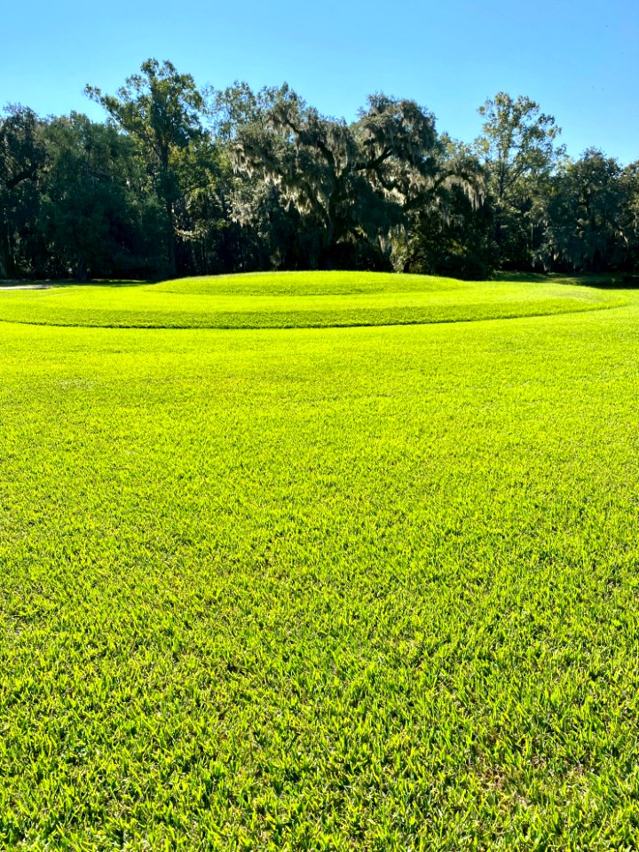 Mound, Drayton Hall, West Ashley, Charleston, SC 