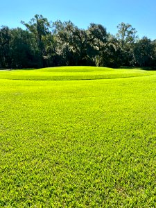 Mound, Drayton Hall, West Ashley, Charleston, SC 