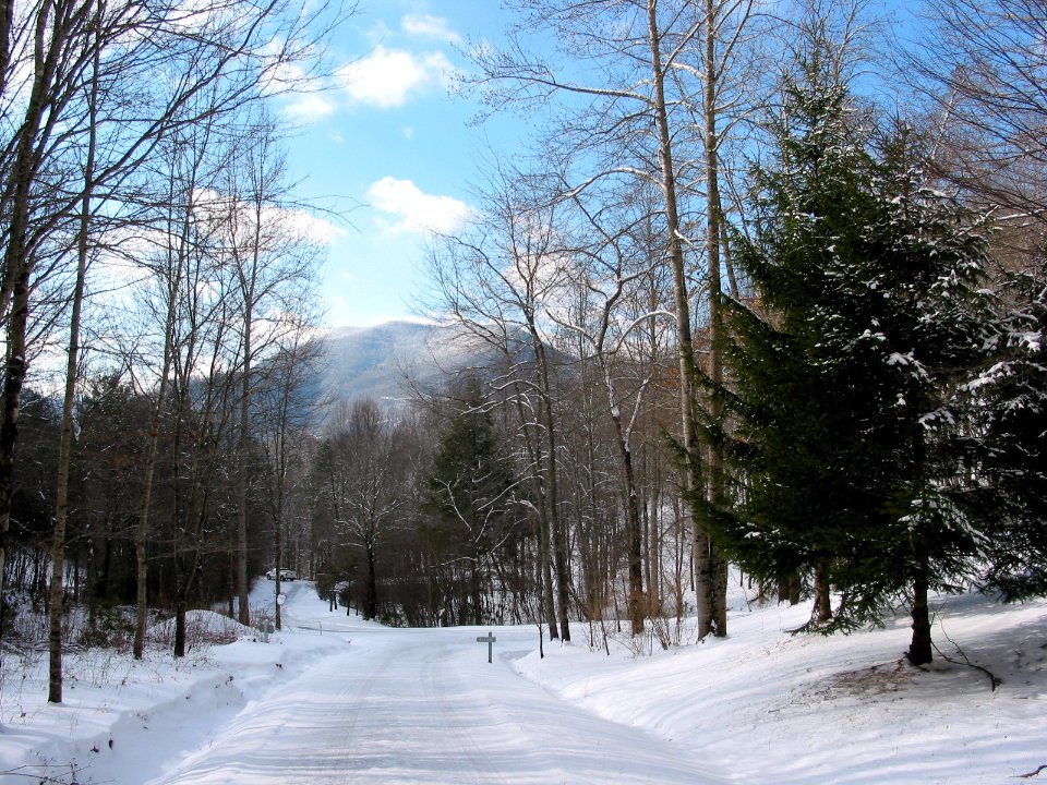 Snow in Hazel Hollow, Dillsboro, NC 