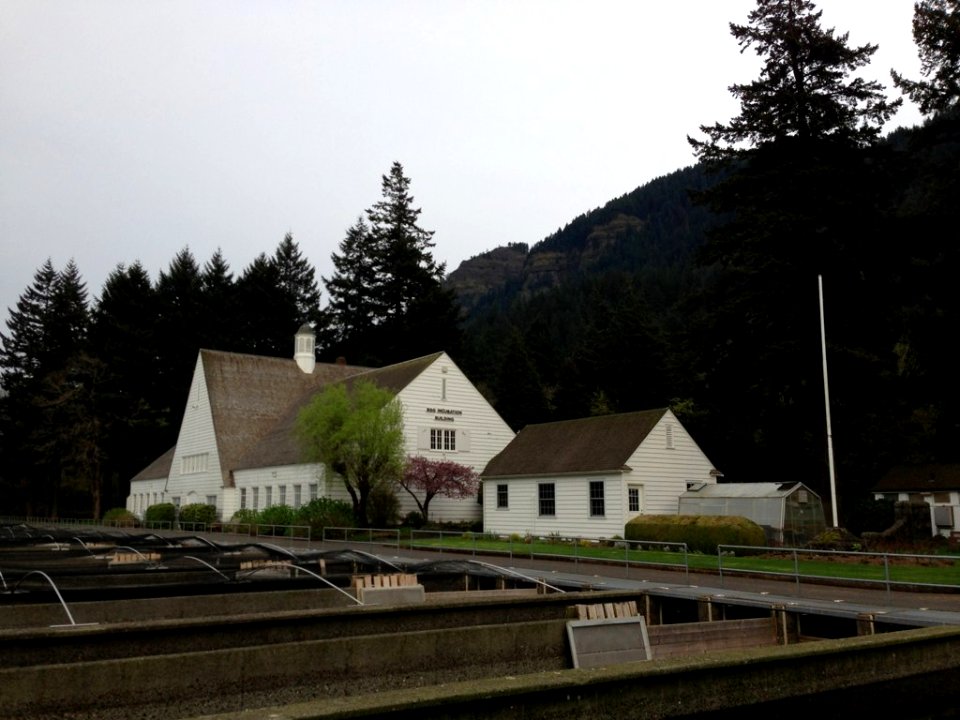 Cascade Locks Fish Hatchery 