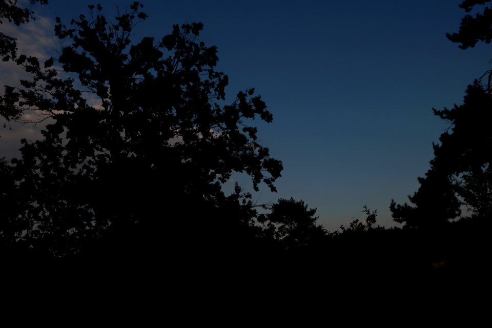 20200902-185132LC_2 
