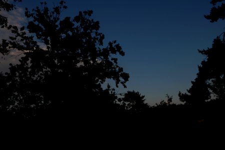 20200902-185132LC_2 