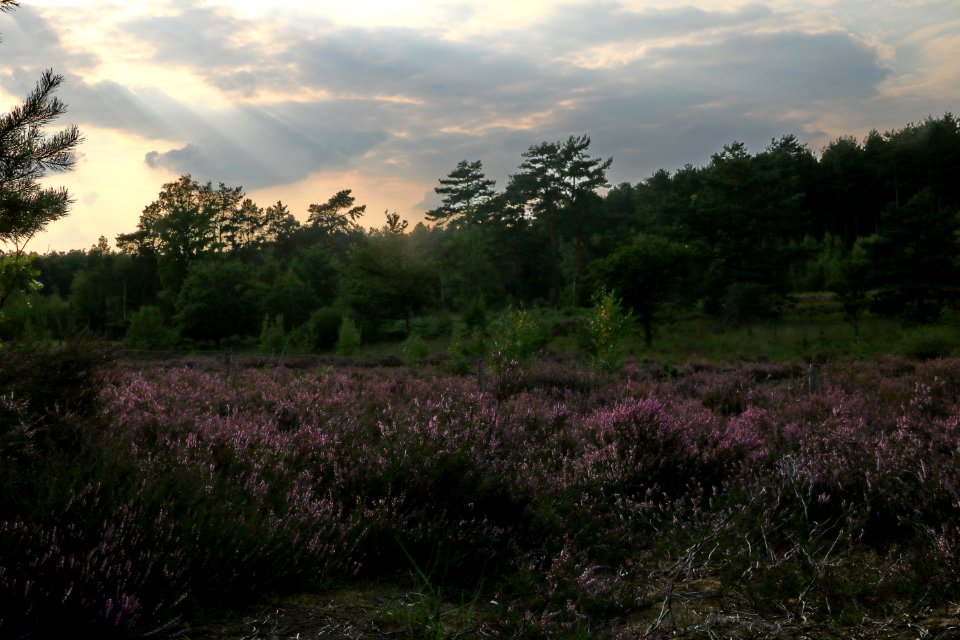 20200902-182239LC_2 
