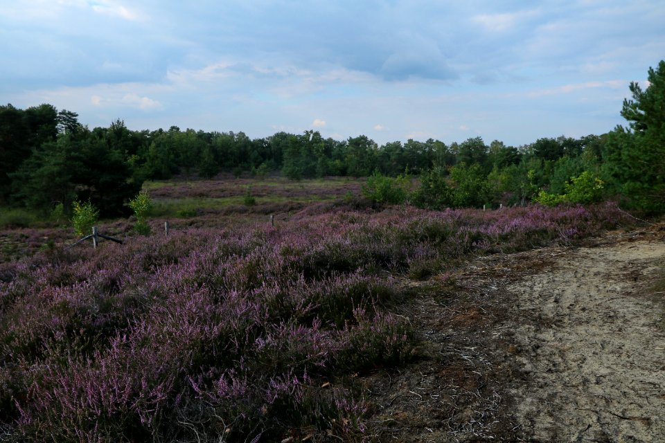 20200902-180852LC_2 