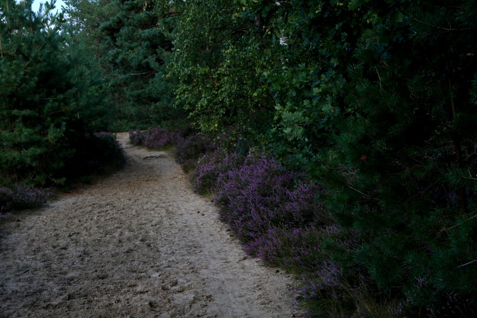 20200902-180732LC_2 