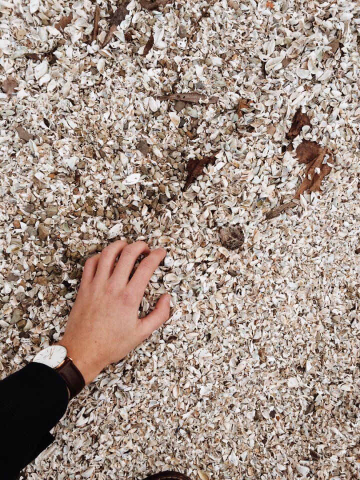 Sea nature ocean