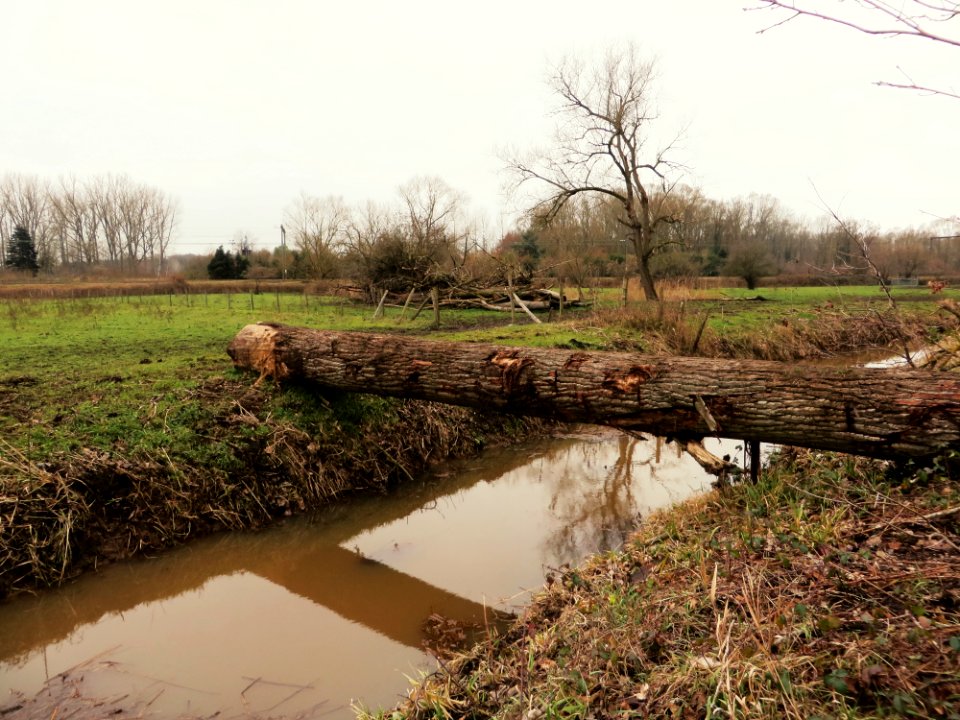 Geen brug voor oude mannen 