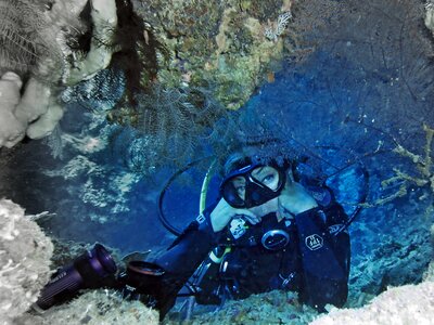 Undersea ocean philippines photo